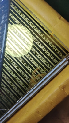 Etched Stainless Steel Sheet for Decoration and Architecture with Customized Thickness