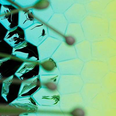 Hammered Green Color Stamped Decorative Stainless Steel Plate