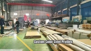 Custom Color Stainless Steel Profiles for Your Projects